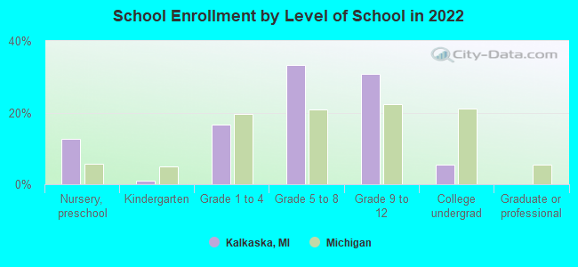 School Enrollment by Level of School in 2022