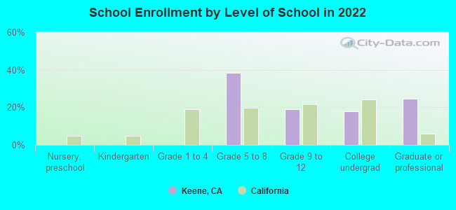 School Enrollment by Level of School in 2022