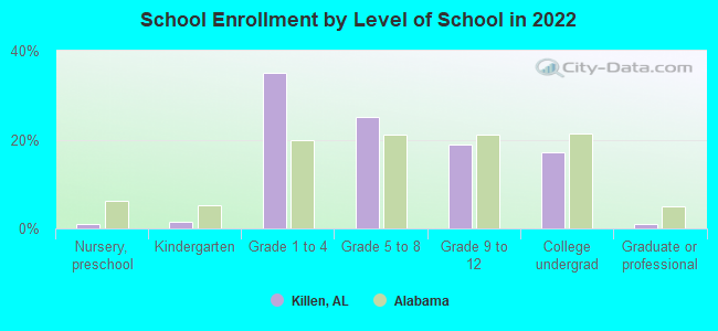 School Enrollment by Level of School in 2022