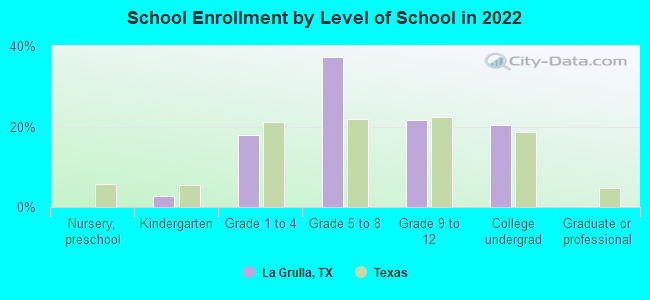 School Enrollment by Level of School in 2022