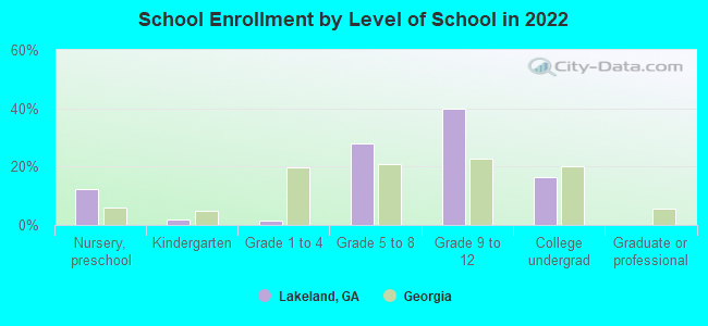 School Enrollment by Level of School in 2022