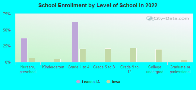 School Enrollment by Level of School in 2022