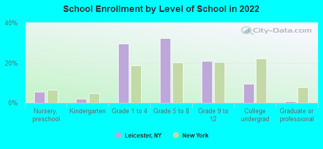 School Enrollment by Level of School in 2022