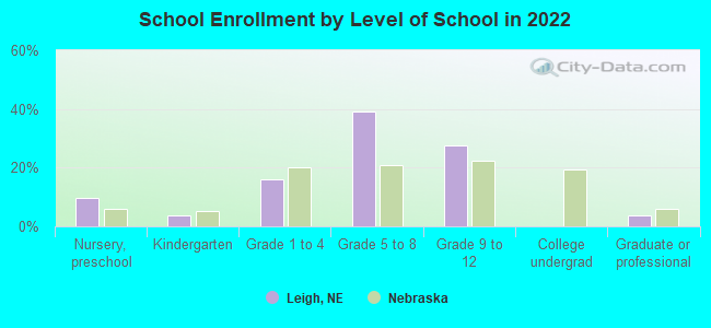 School Enrollment by Level of School in 2022