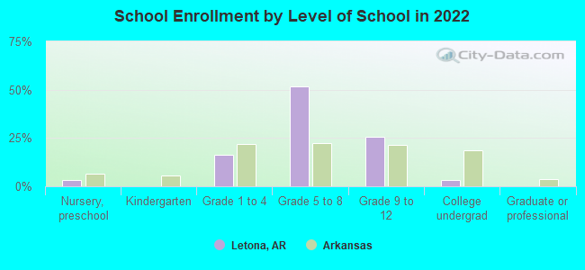 School Enrollment by Level of School in 2022