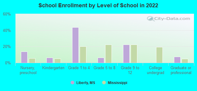 School Enrollment by Level of School in 2022