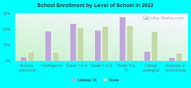 School Enrollment by Level of School in 2022