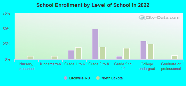 School Enrollment by Level of School in 2022