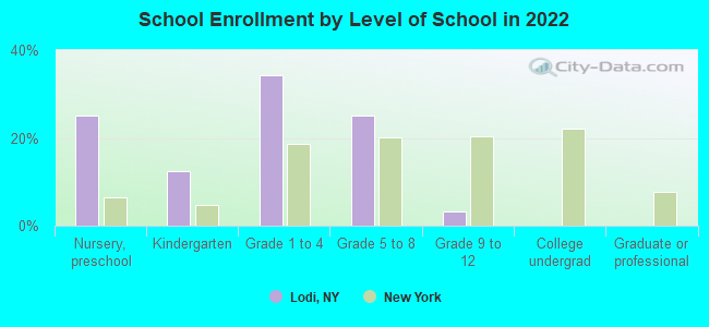 School Enrollment by Level of School in 2022