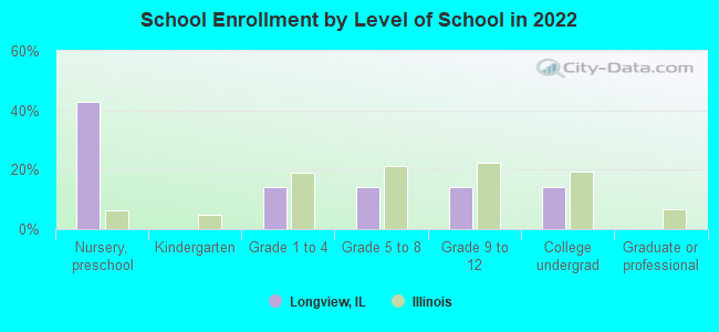 School Enrollment by Level of School in 2022