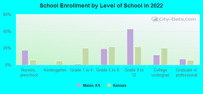 School Enrollment by Level of School in 2022