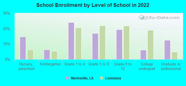 School Enrollment by Level of School in 2022