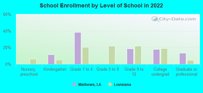 School Enrollment by Level of School in 2022