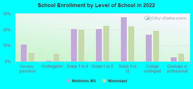 School Enrollment by Level of School in 2022