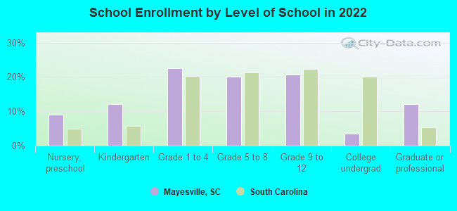 School Enrollment by Level of School in 2022