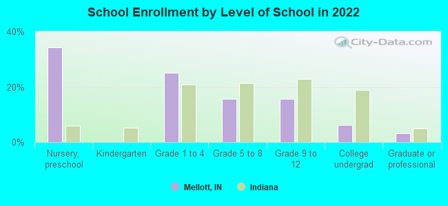 School Enrollment by Level of School in 2022