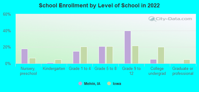 School Enrollment by Level of School in 2022