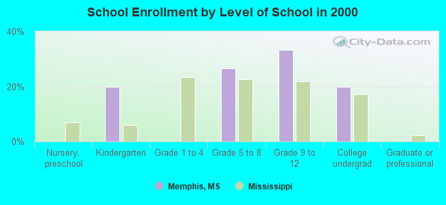 School Enrollment by Level of School in 2000