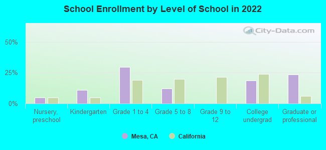 School Enrollment by Level of School in 2022