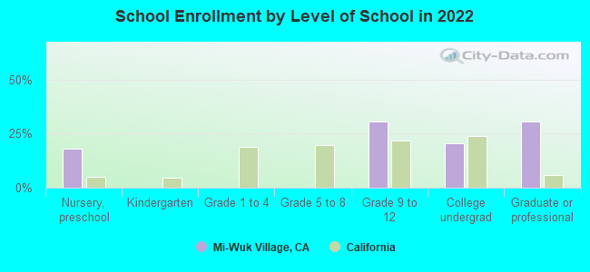 School Enrollment by Level of School in 2022