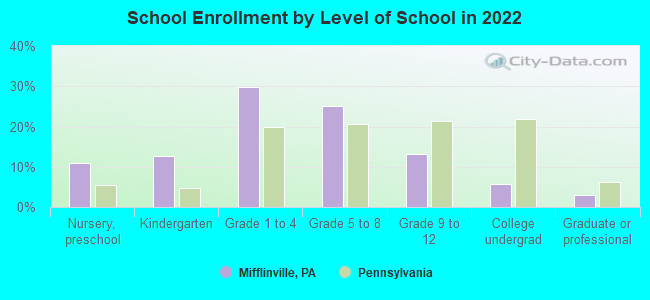 School Enrollment by Level of School in 2022