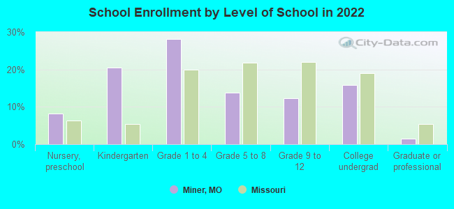 School Enrollment by Level of School in 2022