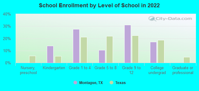 School Enrollment by Level of School in 2022