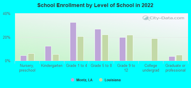 School Enrollment by Level of School in 2022