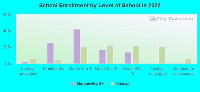 School Enrollment by Level of School in 2022