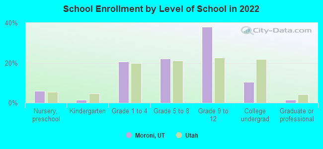 School Enrollment by Level of School in 2022