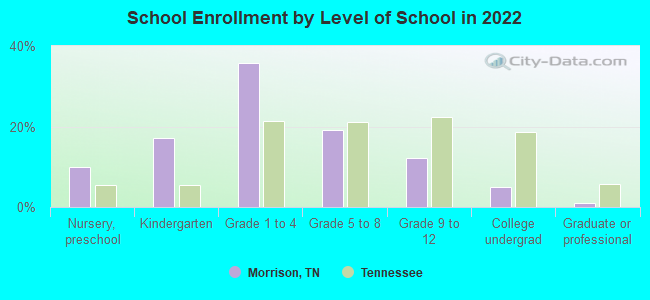 School Enrollment by Level of School in 2022