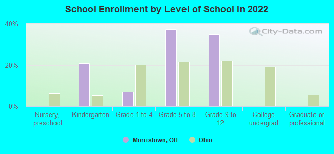 School Enrollment by Level of School in 2022