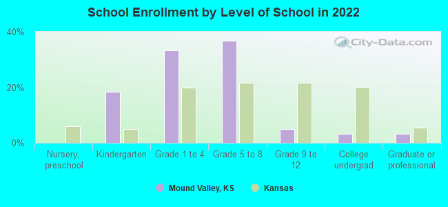 School Enrollment by Level of School in 2022