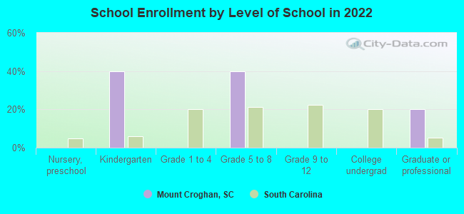 School Enrollment by Level of School in 2022