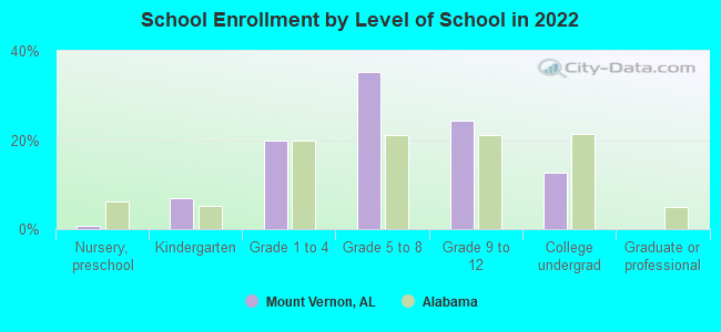 School Enrollment by Level of School in 2022