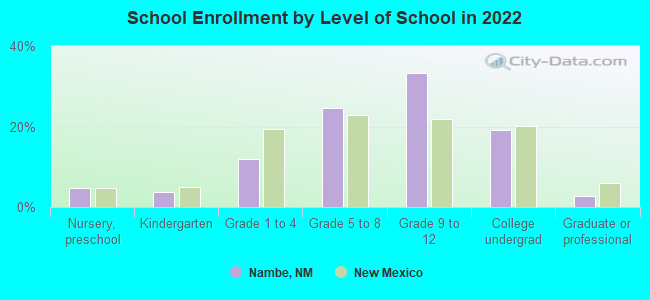 School Enrollment by Level of School in 2022