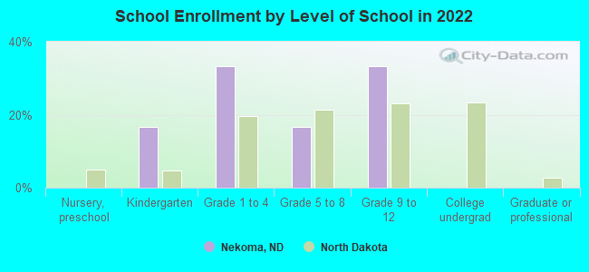 School Enrollment by Level of School in 2022