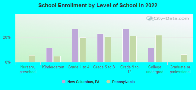 School Enrollment by Level of School in 2022