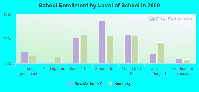 School Enrollment by Level of School in 2000