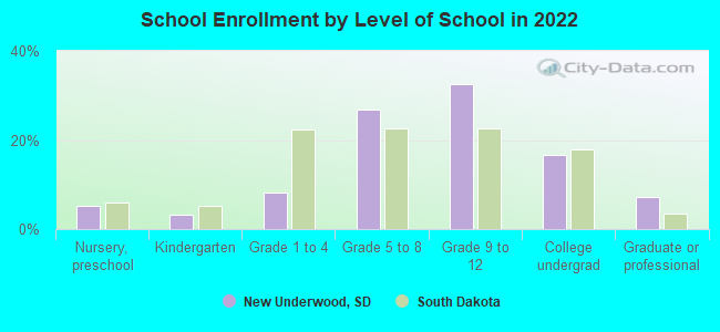 School Enrollment by Level of School in 2022