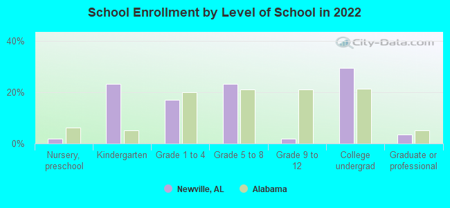 School Enrollment by Level of School in 2022