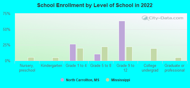 School Enrollment by Level of School in 2022