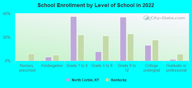 School Enrollment by Level of School in 2022