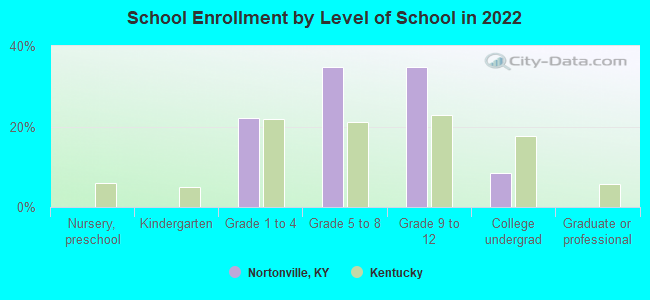 School Enrollment by Level of School in 2022