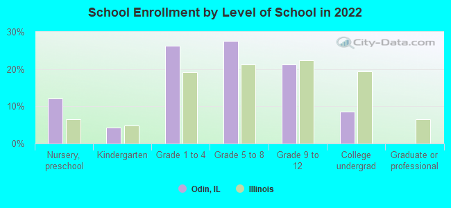 School Enrollment by Level of School in 2022