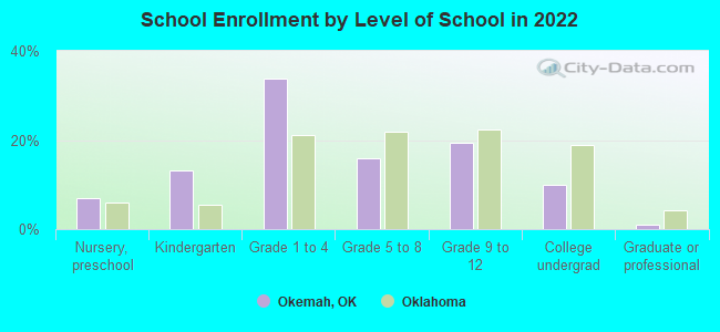 School Enrollment by Level of School in 2022