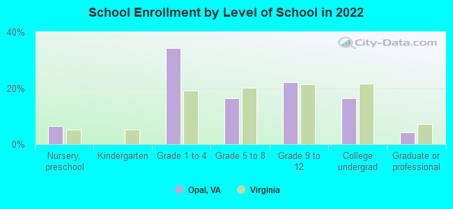 School Enrollment by Level of School in 2022