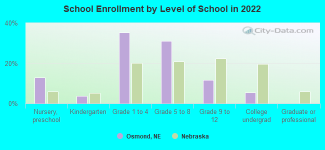 School Enrollment by Level of School in 2022