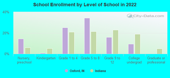 School Enrollment by Level of School in 2022