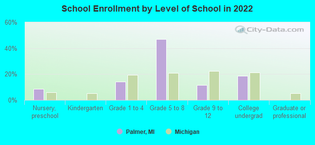 School Enrollment by Level of School in 2022